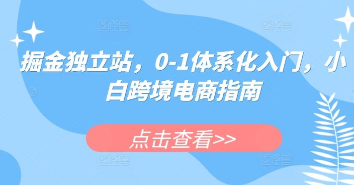 掘金独立站，0-1体系化入门，小白跨境电商指南-皮皮网创