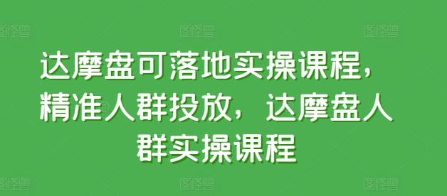 达摩盘可落地实操课程，精准人群投放，达摩盘人群实操课程-皮皮网创