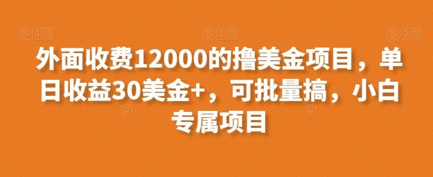 外面收费12000的撸美金项目，单日收益30美金+，可批量搞，小白专属项目-皮皮网创