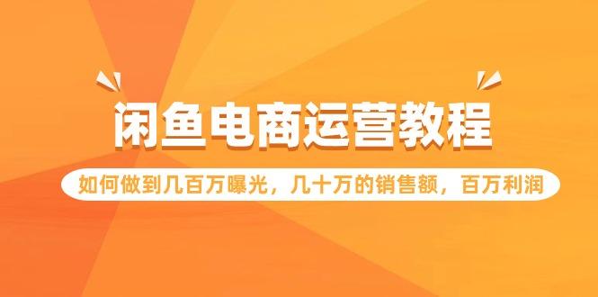 (9560期)闲鱼电商运营教程：如何做到几百万曝光，几十万的销售额，百万利润-皮皮网创