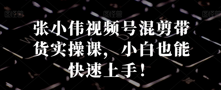 张小伟视频号混剪带货实操课，小白也能快速上手！-皮皮网创