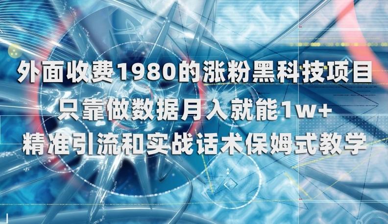外面收费1980的涨粉黑科技项目，只靠做数据月入就能1w+【揭秘】-皮皮网创