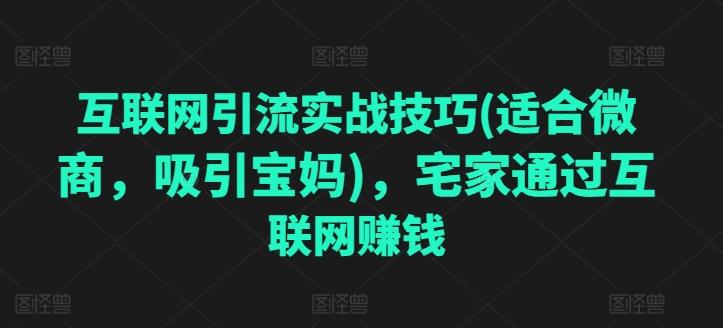 互联网引流实战技巧(适合微商，吸引宝妈)，宅家通过互联网赚钱-皮皮网创