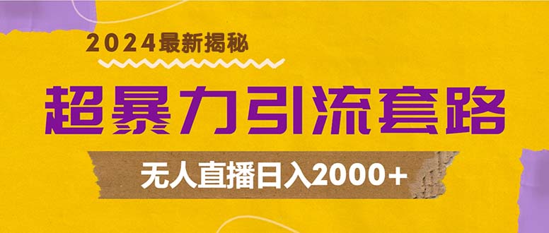超暴力引流套路，无人直播日入2000+-皮皮网创
