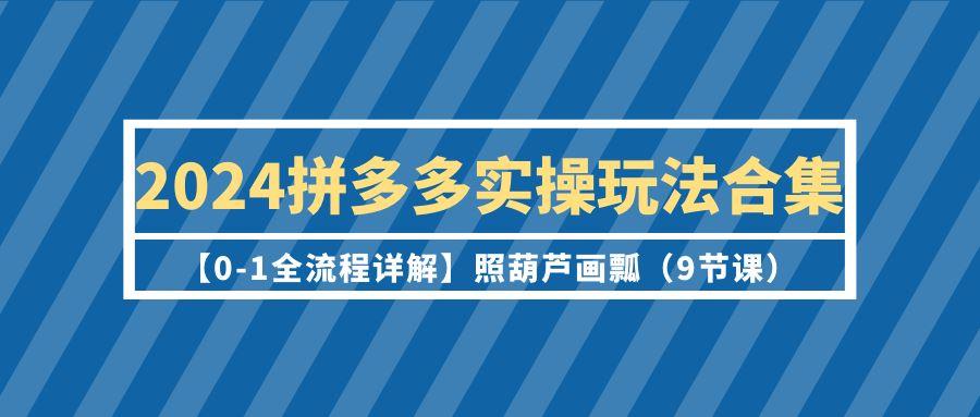 (9559期)2024拼多多实操玩法合集【0-1全流程详解】照葫芦画瓢(9节课)-皮皮网创