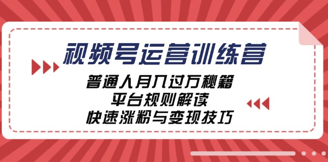 视频号运营训练营：普通人月入过万秘籍，平台规则解读，快速涨粉与变现-皮皮网创