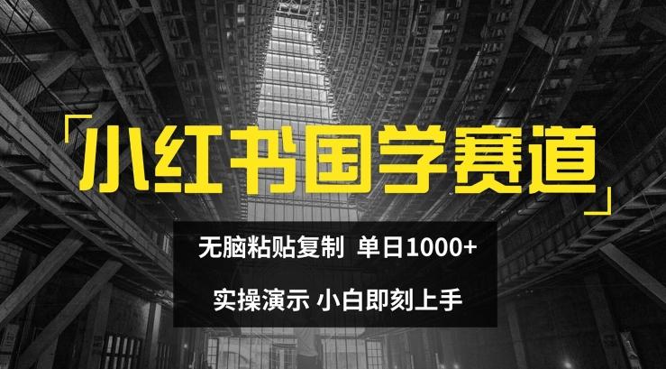 小红书国学赛道，无脑粘贴复制，单日1K，实操演示，小白即刻上手【揭秘】-皮皮网创