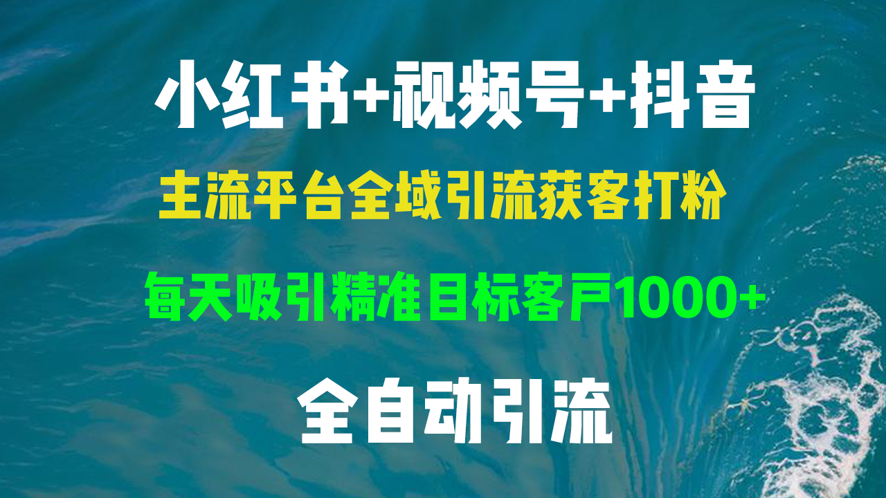 小红书，视频号，抖音主流平台全域引流获客打粉，每天吸引精准目标客户…-皮皮网创