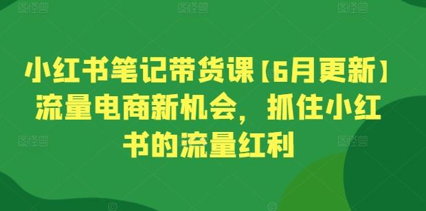小红书笔记带货课【6月更新】流量电商新机会，抓住小红书的流量红利-皮皮网创