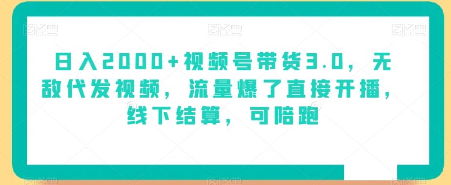 日入2000+视频号带货3.0，无敌代发视频，流量爆了直接开播，线下结算，可陪跑-皮皮网创