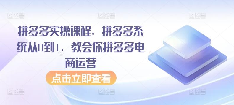 拼多多实操课程，拼多多系统从0到1，教会你拼多多电商运营-皮皮网创