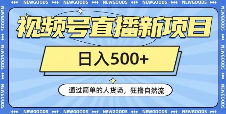 视频号直播新项目，通过简单的人货场，狂撸自然流，日入500+【260G资料】-皮皮网创
