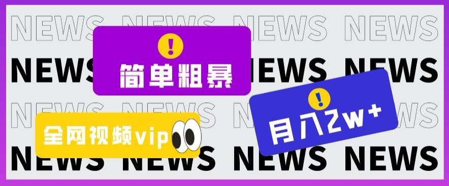简单粗暴零成本，高回报，全网视频VIP掘金项目，月入2万＋【揭秘】-皮皮网创