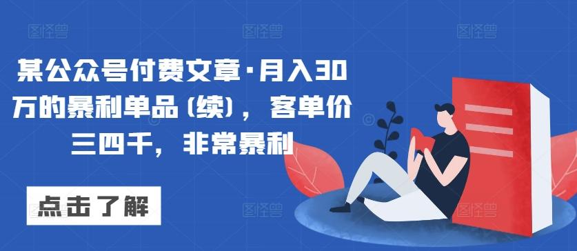 某公众号付费文章·月入30万的暴利单品(续)，客单价三四千，非常暴利-皮皮网创