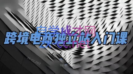 团长·跨境电商独立站入门课(2小时精华)-皮皮网创