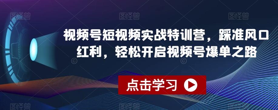 视频号短视频实战特训营，踩准风口红利，轻松开启视频号爆单之路-皮皮网创