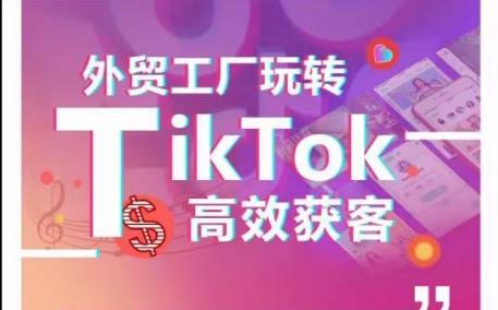 外贸工厂玩转TikTok高效获客，多种引流方式与账号定位技巧，拆解爆款短视频打造成功案例-皮皮网创