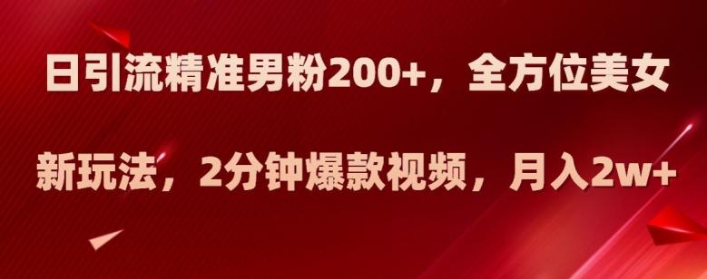 日引流精准男粉200+，全方位美女新玩法，2分钟爆款视频，月入2w+【揭秘】-皮皮网创