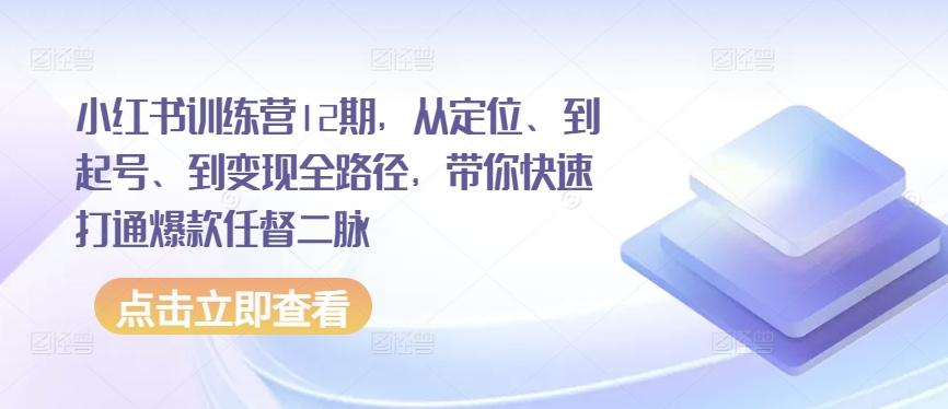 小红书训练营12期，从定位、到起号、到变现全路径，带你快速打通爆款任督二脉-皮皮网创
