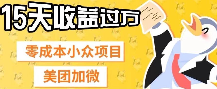 零成本小众项目，美团加微，一单4.5+，15天已经有人赚上万收益-皮皮网创