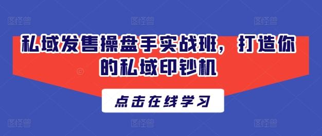 私域发售操盘手实战班，打造你的私域印钞机-皮皮网创