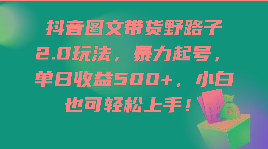 (9790期)抖音图文带货野路子2.0玩法，暴力起号，单日收益500+，小白也可轻松上手！-皮皮网创