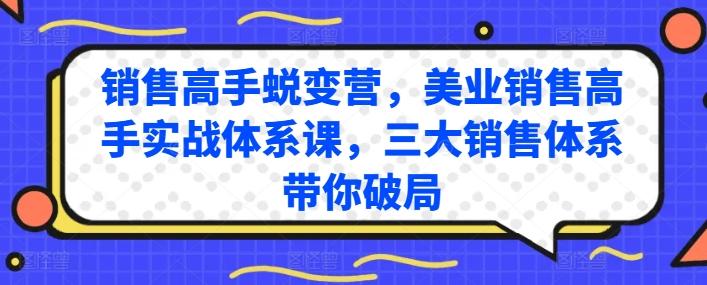 销售高手蜕变营，美业销售高手实战体系课，三大销售体系带你破局-皮皮网创
