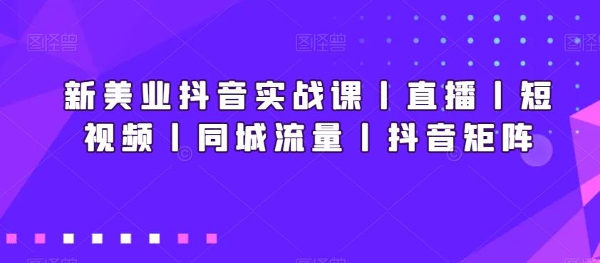 新美业抖音实战课丨直播丨短视频丨同城流量丨抖音矩阵-皮皮网创