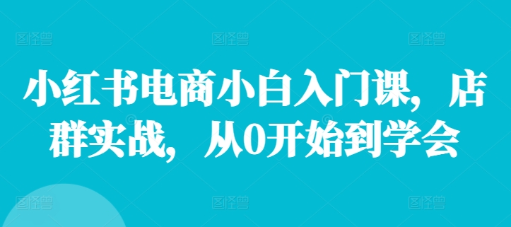 小红书电商小白入门课，店群实战，从0开始到学会-皮皮网创