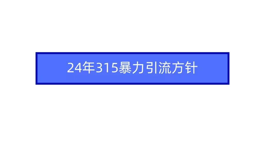 (9398期)2024年315暴力引流方针-皮皮网创