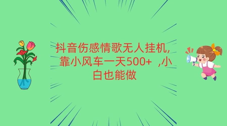 抖音伤感情歌无人挂机 靠小风车一天500+ 小白也能做-皮皮网创