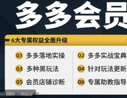 拼多多会员，拼多多实战宝典+实战落地实操，从新手到高阶内容全面覆盖-皮皮网创