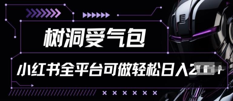 小红书等全平台树洞受气包项目，轻松日入一两张【揭秘】-皮皮网创
