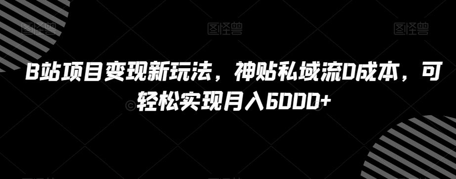 B站项目变现新玩法，神贴私域流0成本，可轻松实现月入6000+【揭秘】-皮皮网创