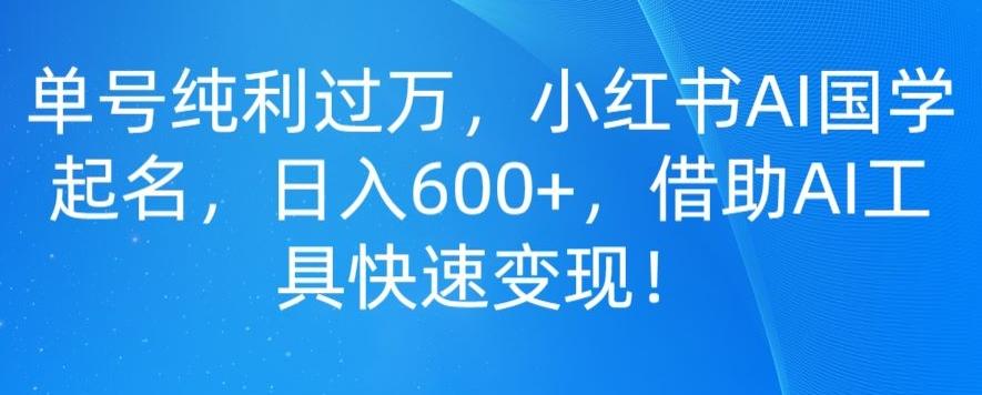 单号纯利过万，小红书AI国学起名，日入600+，借助AI工具快速变现-皮皮网创