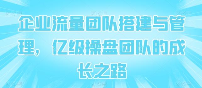 企业流量团队搭建与管理，亿级操盘团队的成长之路-皮皮网创
