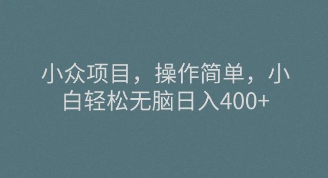 小众项目，操作简单，小白轻松无脑日入400+-皮皮网创