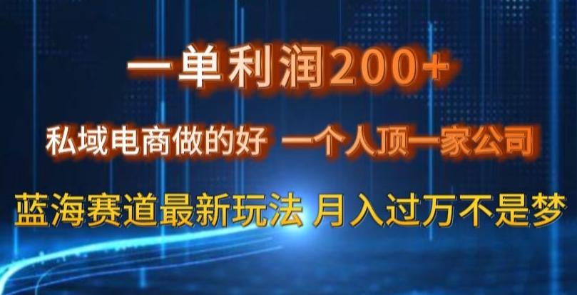 一单利润200私域电商做的好，一个人顶一家公司蓝海赛道最新玩法【揭秘】-皮皮网创