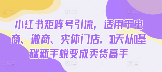 小红书矩阵号引流，适用于电商、微商、实体门店，30天从0基础新手蜕变成卖货高手-皮皮网创
