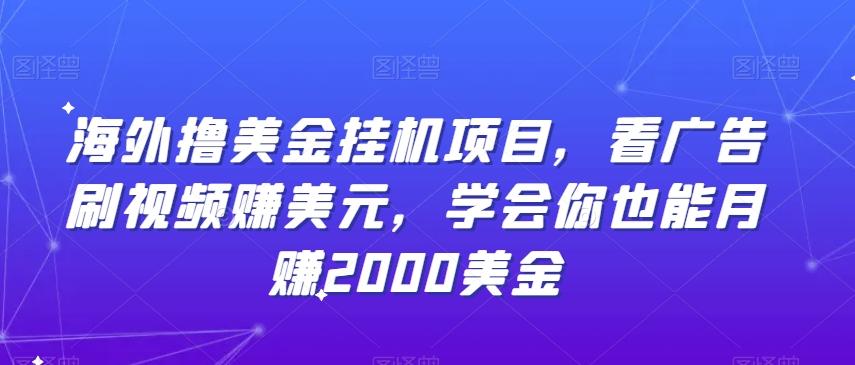 海外撸美金挂机项目，看广告刷视频赚美元，学会你也能月赚2000美金-皮皮网创