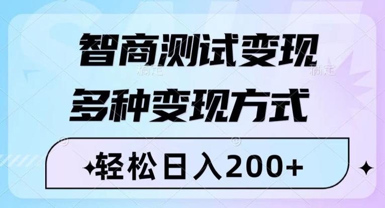 智商测试变现，轻松日入200+，几分钟一个视频，多种变现方式-皮皮网创