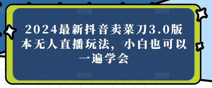 2024最新抖音卖菜刀3.0版本无人直播玩法，小白也可以一遍学会【揭秘】-皮皮网创