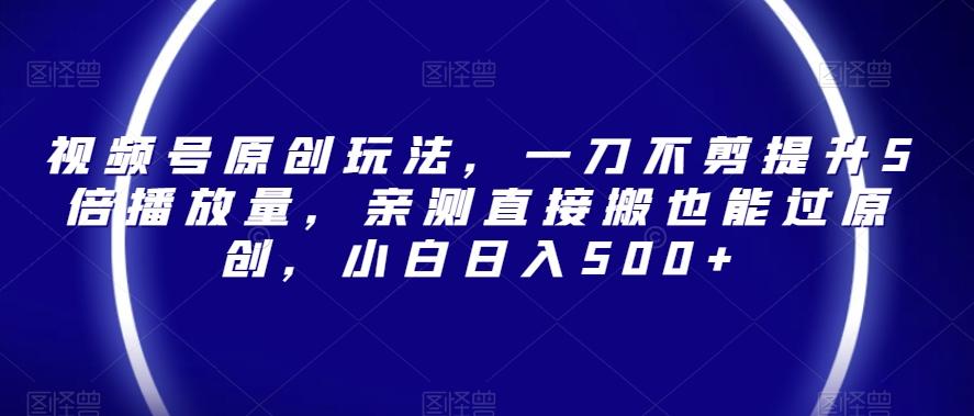 视频号原创玩法，一刀不剪提升5倍播放量，亲测直接搬也能过原创，小白日入500+【揭秘】-皮皮网创
