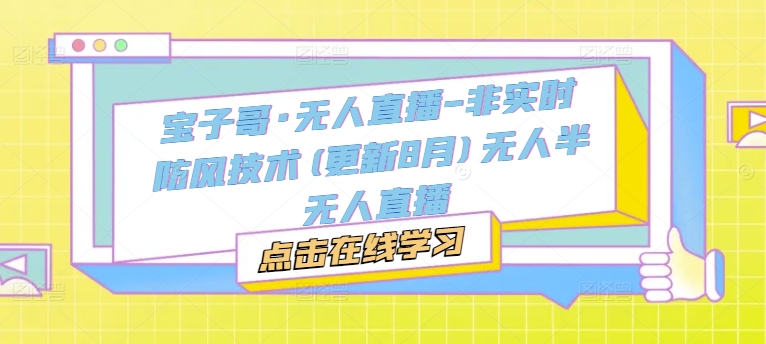 宝子哥·无人直播-非实时防风技术(更新8月)无人半无人直播-皮皮网创