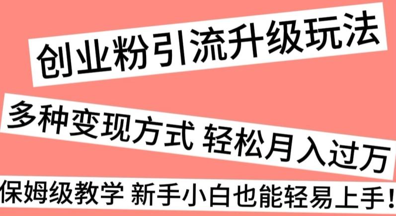 创业粉引流升级玩法，多种变现方式轻松月入过万，保姆级教学新手小白也能轻易上手！-皮皮网创
