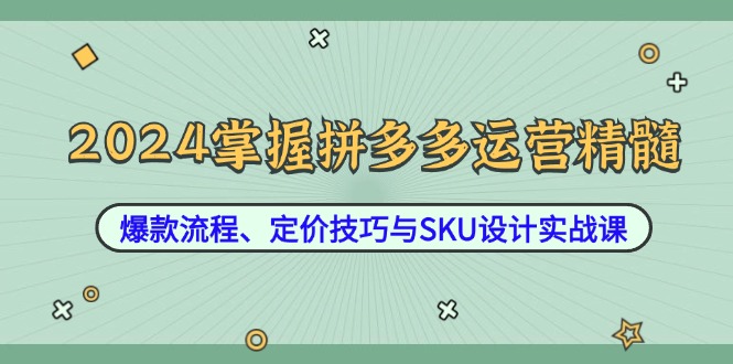 2024掌握拼多多运营精髓：爆款流程、定价技巧与SKU设计实战课-皮皮网创