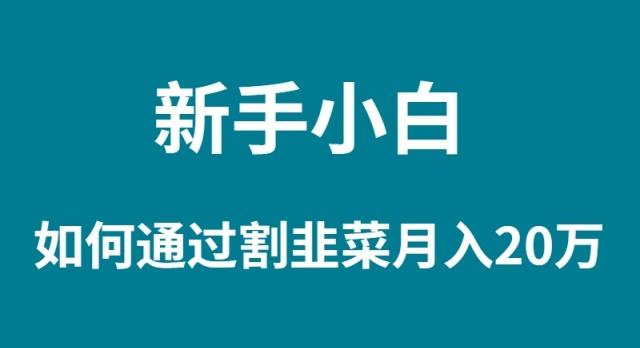(9308期)新手小白如何通过割韭菜月入 20W-皮皮网创