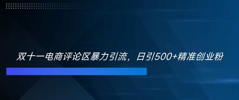 双十一电商评论区暴力引流，日引500+精准创业粉【揭秘】-皮皮网创
