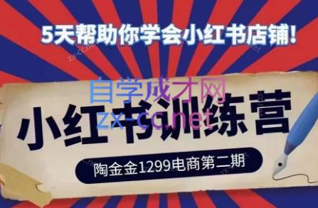陶金金·小红书训练营(第二期)-皮皮网创