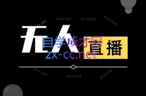 宝子哥·无人直播-非实时防风技术(更新9月)-皮皮网创